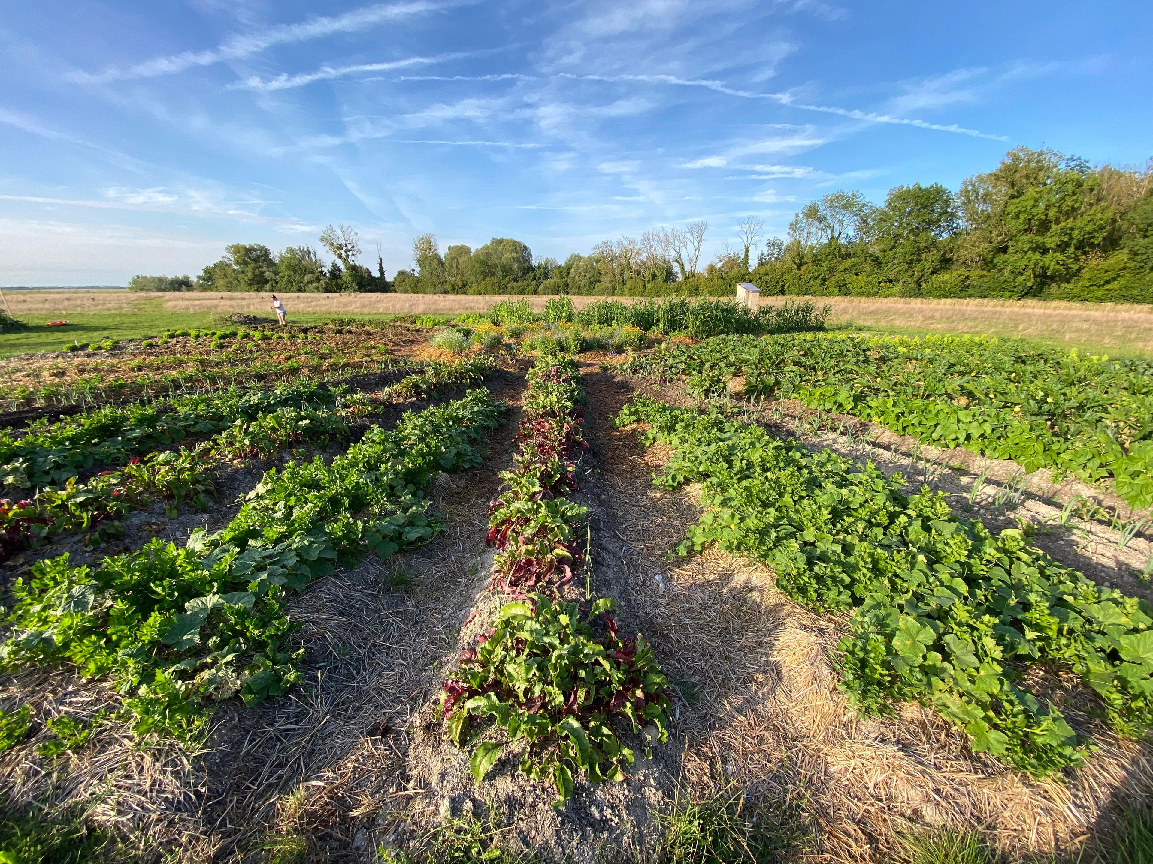 Le départ - Moving to countryside
